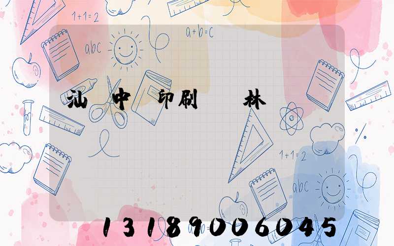 汕頭中興印刷廠 林偉國